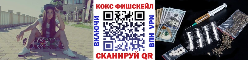 КОКАИН Fish Scale  мега маркетплейс  Чайковский 