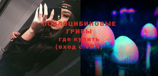 мяу мяу мука Аркадак