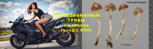 наркотики Алексин