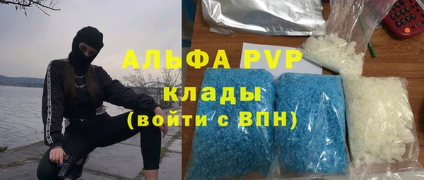 индика Армянск