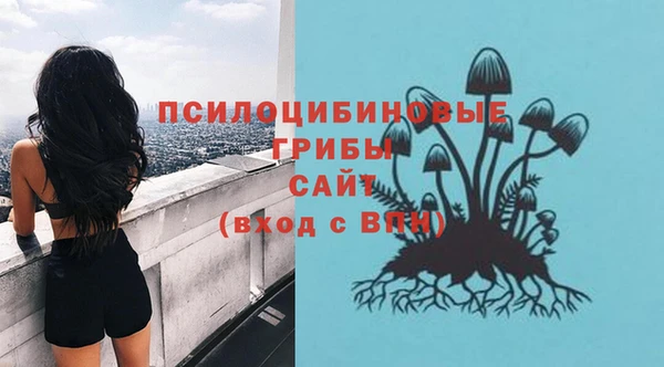 гидра Алзамай
