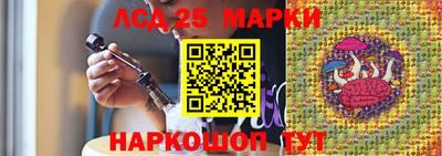 гидропоника Гусев