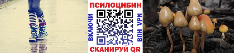 Галлюциногенные грибы Cubensis  Чайковский 