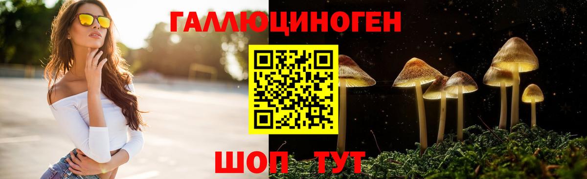 Псилоцибиновые грибы ЛСД Чайковский
